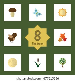 Flat Icon Nature Set Of Solar, Tree, Cattail And Other Vector Objects. Also Includes Mushroom, Sparrow, Lunar Elements.