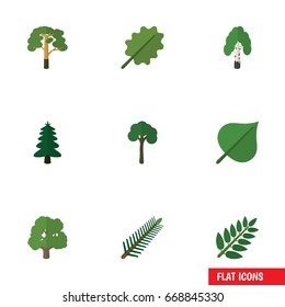 Flat Icon Nature Set Of Spruce Leaves, Wood, Timber And Other Vector Objects. Also Includes Forest, Foliage, Tree Elements.