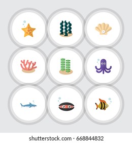 Flat Icon Nature Set Of Tentacle, Conch, Alga And Other Vector Objects. Also Includes Seaweed, Star, Algae Elements.