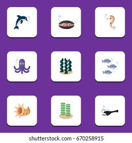 Flat Icon Nature Set Of Tentacle, Tuna, Seashell And Other Vector Objects. Also Includes Squid, Cockleshell, Octopus Elements.