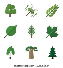 Flat Icon Nature Set Of Timber, Baobab, Park And Other Vector Objects. Also Includes Wood, Leaves, Birch Elements.
