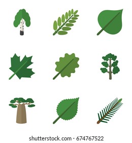 Flat Icon Nature Set Of Timber, Spruce Leaves, Forest And Other Vector Objects. Also Includes Alder, Rosemary, Wood Elements.