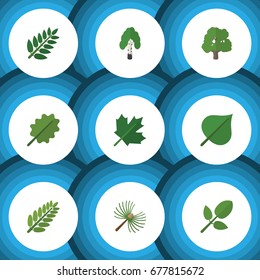 Flat Icon Nature Set Of Timber, Leaves, Alder And Other Vector Objects. Also Includes Tree, Acacia, Foliage Elements.