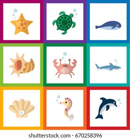 Flat Icon Nature Set Of Tortoise, Playful Fish, Conch And Other Vector Objects. Also Includes Cancer, Star, Conch Elements.