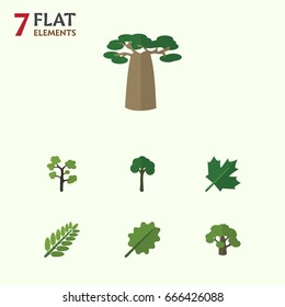 Flat Icon Nature Set Of Tree, Garden, Leaves And Other Vector Objects. Also Includes Tree, Alder, Leaf Elements.