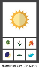 Flat Icon Nature Set Of Tree, Canadian, Cattail And Other Vector Objects. Also Includes Sunshine, Tree, Sun Elements.