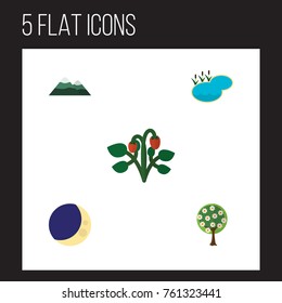 Flat Icon Nature Set Of Tree, Half Moon, Peak And Other Vector Objects. Also Includes Strawberry, Mountain, Tree Elements.