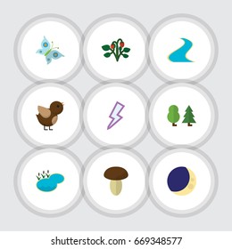 Flat Icon Nature Set Of Tributary, Pond, Half Moon And Other Vector Objects. Also Includes Sparrow, Pond, Moth Elements.