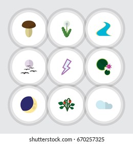 Flat Icon Nature Set Of Tributary, Champignon, Floral And Other Vector Objects. Also Includes Lotus, Crescent, Tributary Elements.