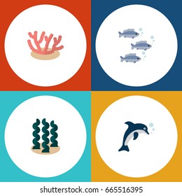 Flat Icon Nature Set Of Tuna, Playful Fish And Other Vector Objects. Also Includes Coral, Algae, Seaweed Elements.