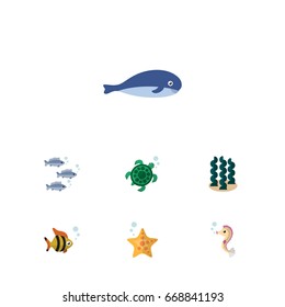 Flat Icon Nature Set Of Tuna, Hippocampus, Alga And Other Vector Objects. Also Includes Hippocampus, Tuna, Cachalot Elements.