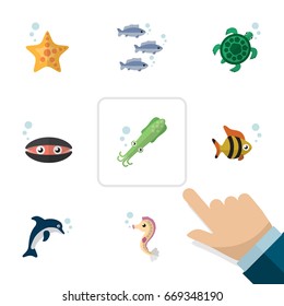 Flat Icon Nature Set Of Tuna, Tortoise, Hippocampus And Other Vector Objects. Also Includes Hippocampus, Squid, Mollusk Elements.
