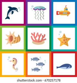 Flat Icon Nature Set Of Tuna, Medusa, Algae And Other Vector Objects. Also Includes Dolphin, Algae, Playful Elements.