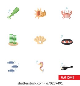 Flat Icon Nature Set Of Tuna, Conch, Hippocampus And Other Vector Objects. Also Includes Angler, Tuna, Cancer Elements.