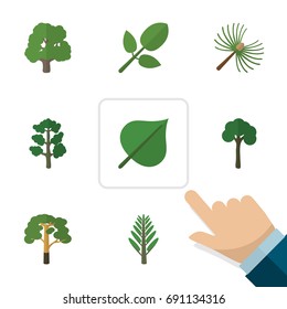 Flat Icon Nature Set Of Wood, Foliage, Decoration Tree And Other Vector Objects. Also Includes Tree, Leaves, Evergreen Elements.