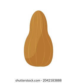Flat icon with oblong pumpkin on white background vector illustration