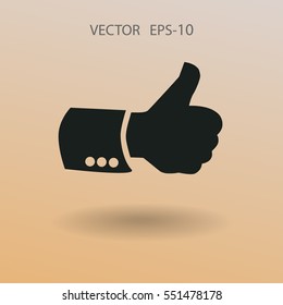Icono plano de ok. ilustración vectorial