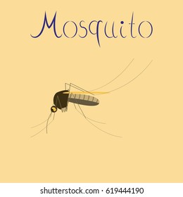 flat icon on background insect mosquito