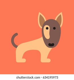 flat icon on background pet dog pitbull