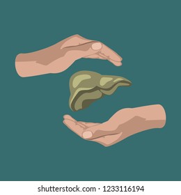 flat icon on theme world hepatitis day . liver in hands