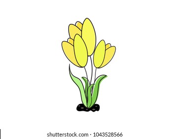 
flat icon on white background tulip blooms 