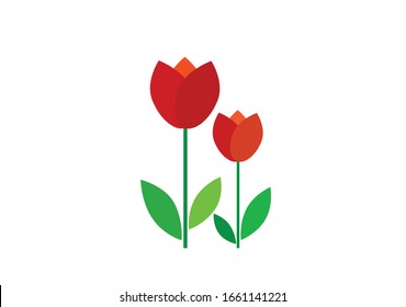 flat icon on white background tulip blooms . 8 March . Women's spring day.;