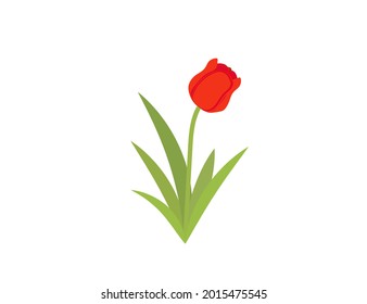 flat icon on white background tulip blooms . 8 March . Women's spring day