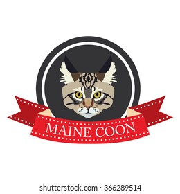 flat icon pedigreed cat maine coon in vector format eps10