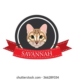 flat icon pedigreed cat Savannah in vector format eps10