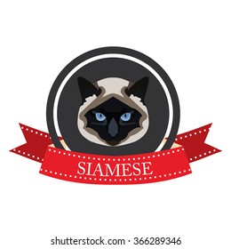 flat icon pedigreed cat Siamese in vector format eps10