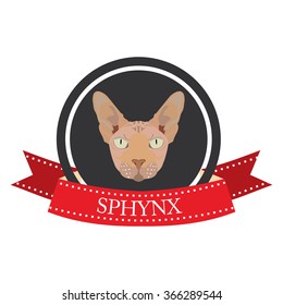 flat icon pedigreed cat sphynx in vector format eps10