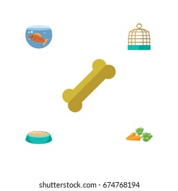 Flat Icon Pets Set Of Feeding, Bird Prison, Osseous And Other Vector Objects. Also Includes Nutrient, Bone, Aquatic Elements.