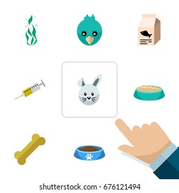 Flat Icon Pets Set Of Fish Nutrient, Seaweed, Bunny And Other Vector Objects. Also Includes Bunny, Bird, Nutrient Elements.