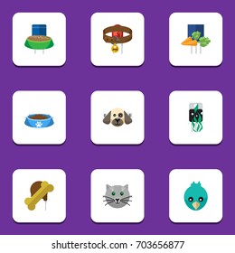 Flat Icon Pets Set Of Hound Necklace, Osseous, Cat  Eating And Other Vector Objects. Also Includes Bone, Osseous, Collar Elements.