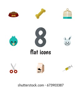 Flat Icon Pets Set Of Osseous, Fish Nutrient, Dog Food And Other Vector Objects. Also Includes Food, Vaccine, Syringe Elements.