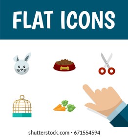 Flat Icon Pets Set Of Root Vegetable, Bunny, Bird Prison And Other Vector Objects. Also Includes Cage, Hound, Birdcage Elements.