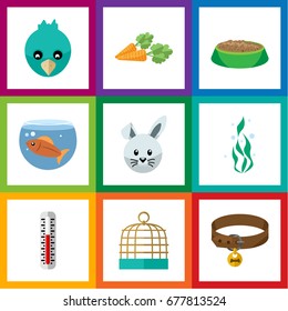 Flat Icon Pets Set Of Sparrow, Temperature Measurement, Root Vegetable And Other Vector Objects. Also Includes Birdcage, Rabbit, Food Elements.