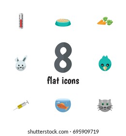 Flat Icon Pets Set Of Sparrow, Vaccine, Root Vegetable And Other Vector Objects. Also Includes Syringe, Temperature, Sparrow Elements.