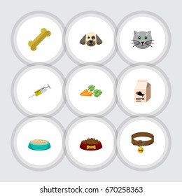 Flat Icon Pets Set Of Vaccine, Hound Necklace, Feeding And Other Vector Objects. Also Includes Bone, Nutrient, Syringe Elements.