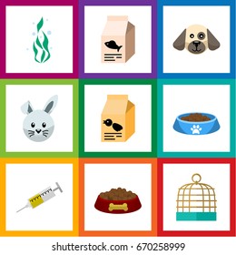 Flat Icon Pets Set Of Vaccine, Bird Prison, Seaweed And Other Vector Objects. Also Includes Box, Hare, Cat Elements.