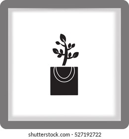 Icono plano. La planta está en el paquete. Regalo - una flor.