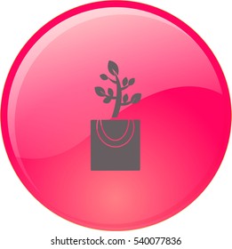 Icono plano. La planta está en el paquete. Regalo - una flor.