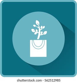 Flat icon. The plant is in the package. Gift - a flower.