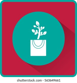 Icono plano. La planta está en el paquete. Regalo - una flor.