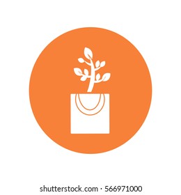 Icono plano. La planta está en el paquete. Regalo - una flor.