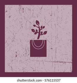 Flaches Symbol. Die Pflanze ist in der Verpackung. Geschenk - eine Blume.