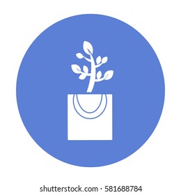 Icono plano. La planta está en el paquete. Regalo - una flor.