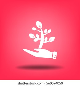 Flat icon. The plant is in the palm of a person. In human hands the fate of the plant world.