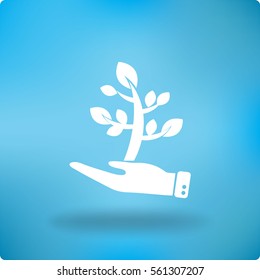 Flat icon. The plant is in the palm of a person. In human hands the fate of the plant world.