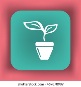Flat icon. A pot with the plant.